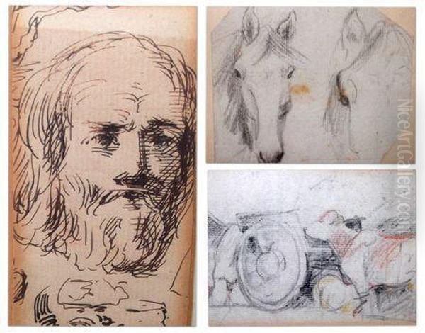 Horse Studies - view 1