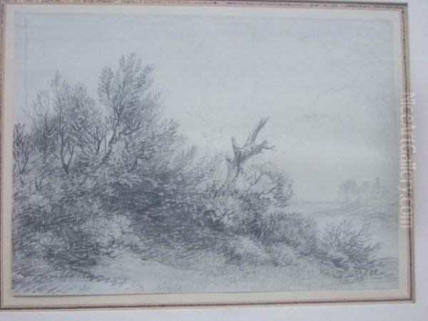 Sketch Of Bushes - view 1
