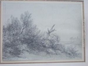 Sketch Of Bushes by George Frost