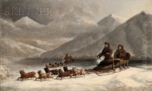 Dog Sledding