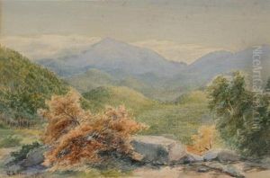 Mountain Landscape, Autumn by George Albert Frost