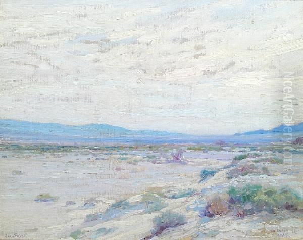Desert Tranquility - view 1