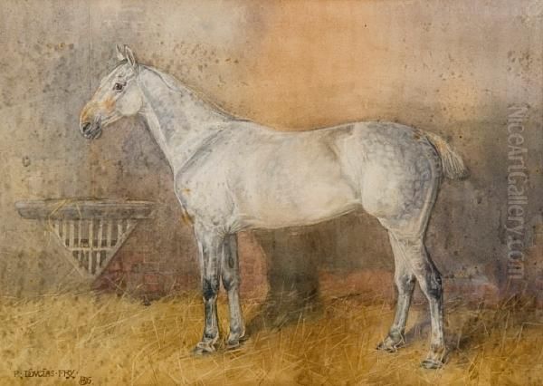 A Dappled Grey Horse In A Stable - view 1
