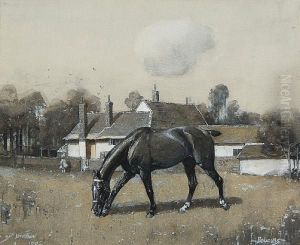 Horse Grazing In A Field Before A Cottage
