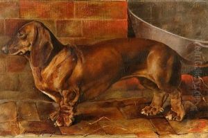 "janita" Portrait Of A Dachsund