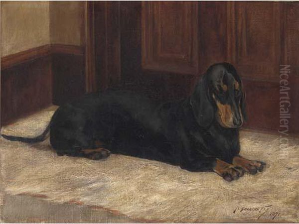 A Dachshund In An Interior - view 1