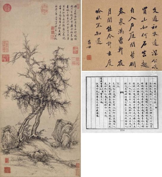 Old Trees, Bamboo And Rock - view 1