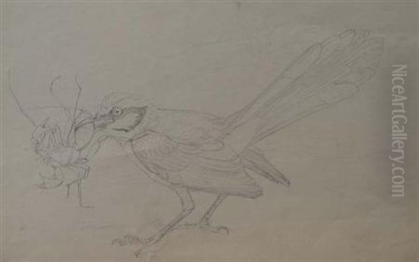 A Male Roadrunner Catching A Whiptail Scorpion - view 1