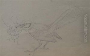 A Male Roadrunner Catching A Whiptail Scorpion A Male Roadrunner Catching A Whiptail Scorpion