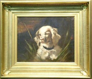 Portrait Of A Spaniel by James Fullerton Sloan