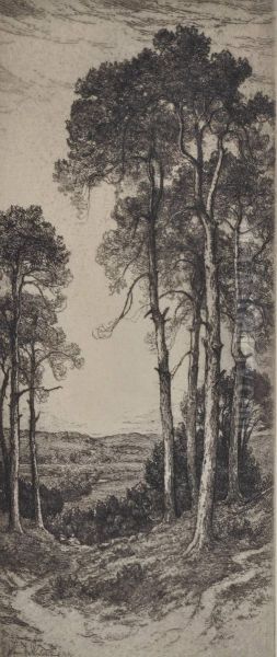 Landscape Views - view 1