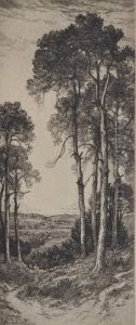 Landscape Views by John Fullwood