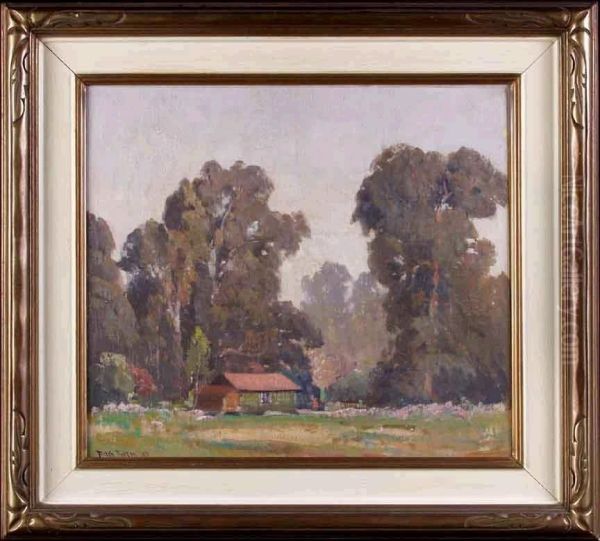 Landscape With Eucalyptus Trees - view 1