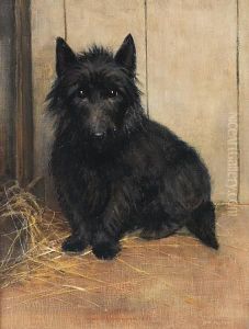 Study Of A Terrier