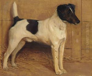 A Fox Terrier