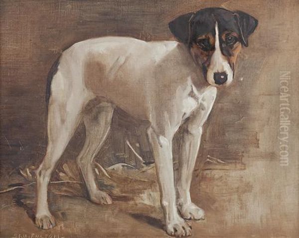 A Parsons Jack Russell (study) - view 1