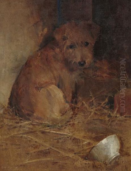 Terrier In A Manger - view 1