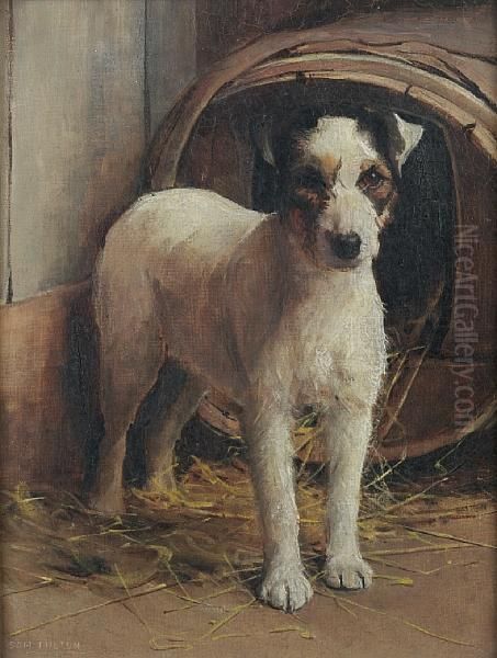 A Fox Terrier In Front Of A Kennel - view 1