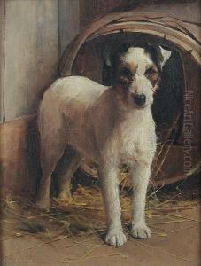 A Fox Terrier In Front Of A Kennel A Fox Terrier In Front Of A Kennel