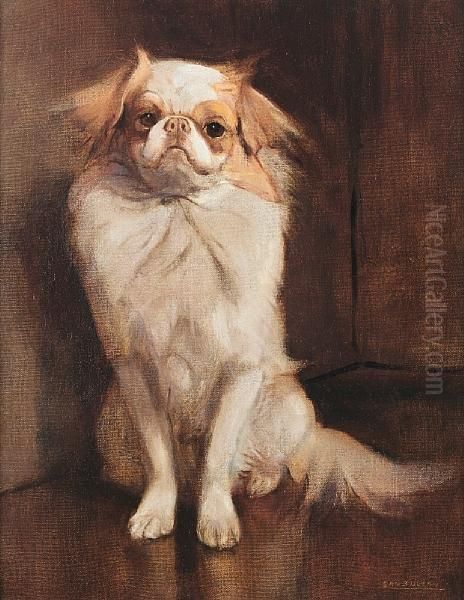 Portrait Of A Japanese Chin - view 1