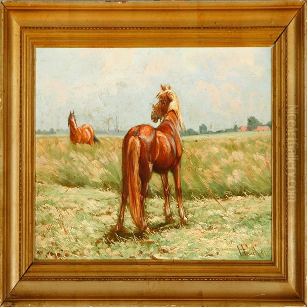 Horses On A Field - view 1