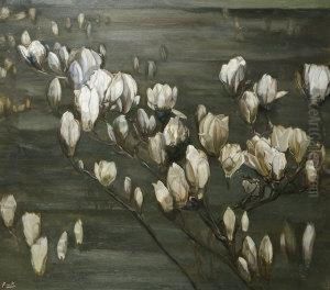 Magnolias At Midnight
