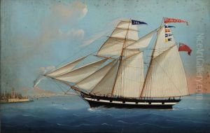 Ritratto Dello Schooner Sea Nymph In Entrata Nel Porto Di Napoli by Michele Funno