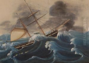 Albert Of Falmouth by Michele Funno