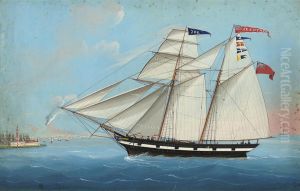 The British Schooner
Sea Nymph by Michele Funno