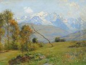 Blick Auf Das Mont Blanc Massiv by Francois Furet