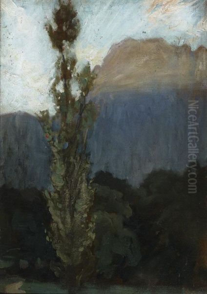 Poplar - view 1