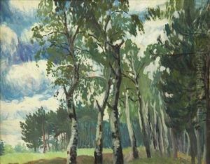 Birches On The Edge Of A Forest