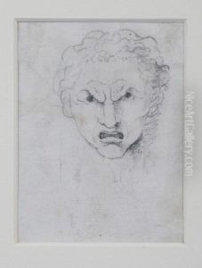 A Study Of An Angry Face