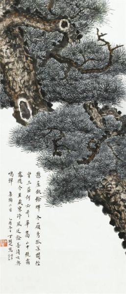 Old Pine - view 1