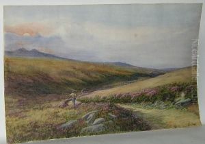 Road On Dartmoor