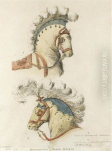Study Of Napoleon Bonaparte's State Horses by Lawrence Gahagan