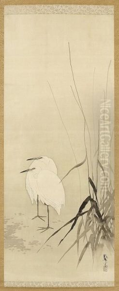 Egret - view 1