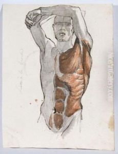 Etude D'ecorche by Bernard Gaillot