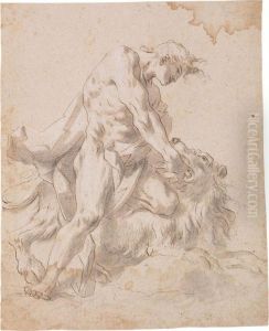 Studio Di Ercole
