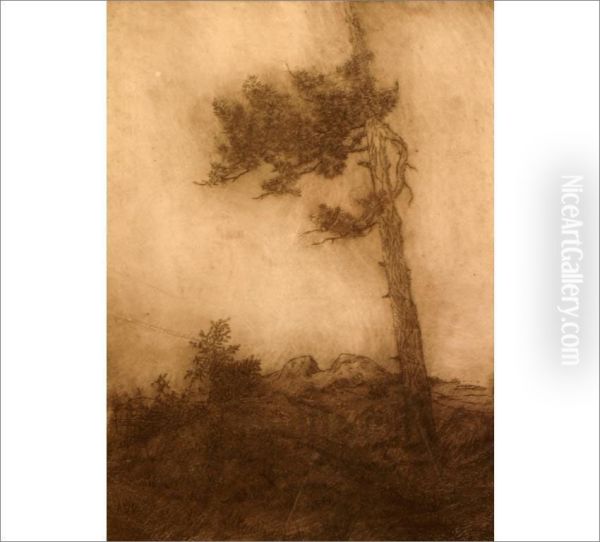Untitled - view 1