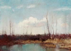 Stagno (luogo Di Caccia)