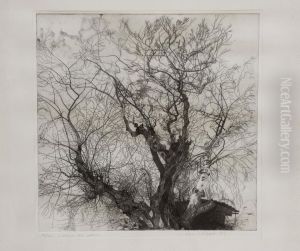 L'albero Del Dottore by Ferdinando Galli