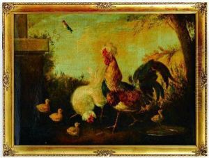 Gallo Con Gallina Y Pollos by Gallo Gallina