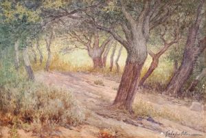 Bosque De Corcho. S(ant) Feliu De Guixols by Francisco Galofre Oller