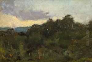 Paisaje Paisaje