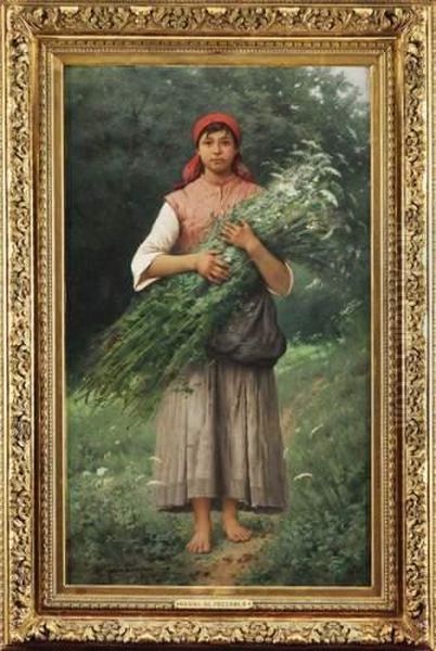 Jeune Paysanne De La Vallee D'andorno (piemont) - view 1