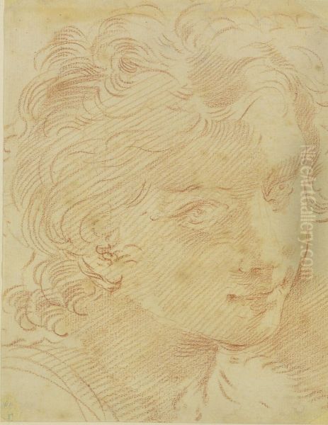 Head Of A Young Man - view 1