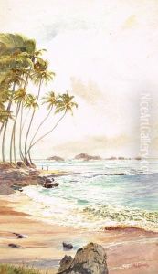 Coast Near Ambalongoda, Ceylon (sri Lanka)