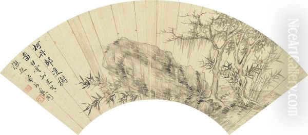 Bamboo And Rock - view 1