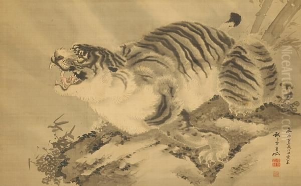 Tiger - view 1